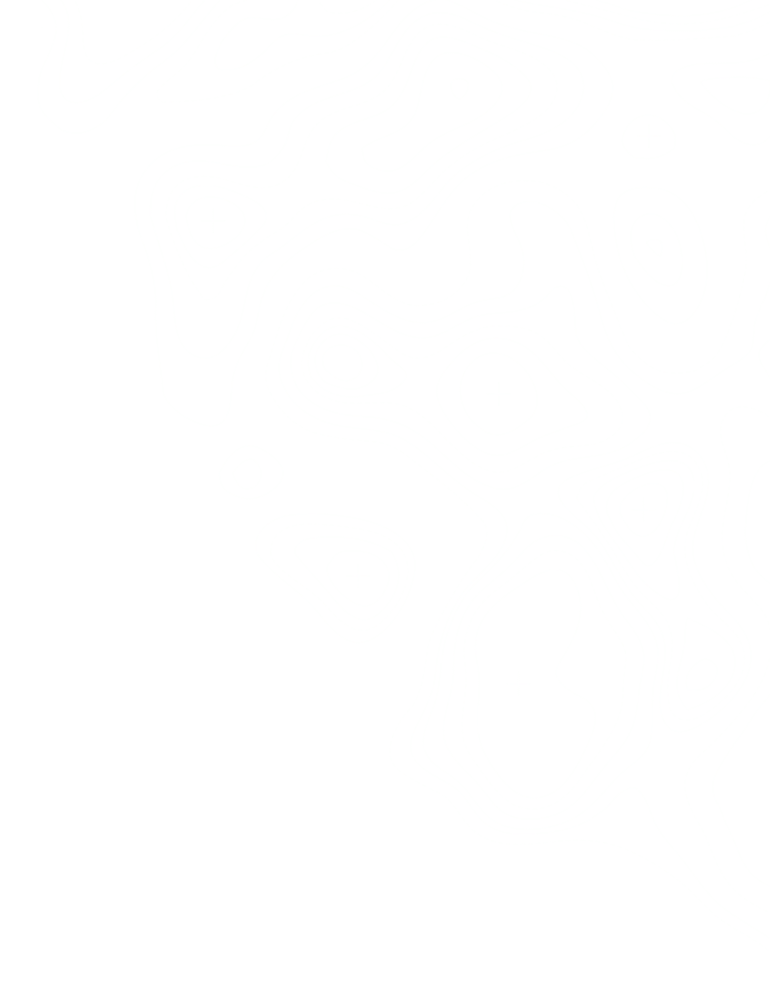 Topographic line overlay